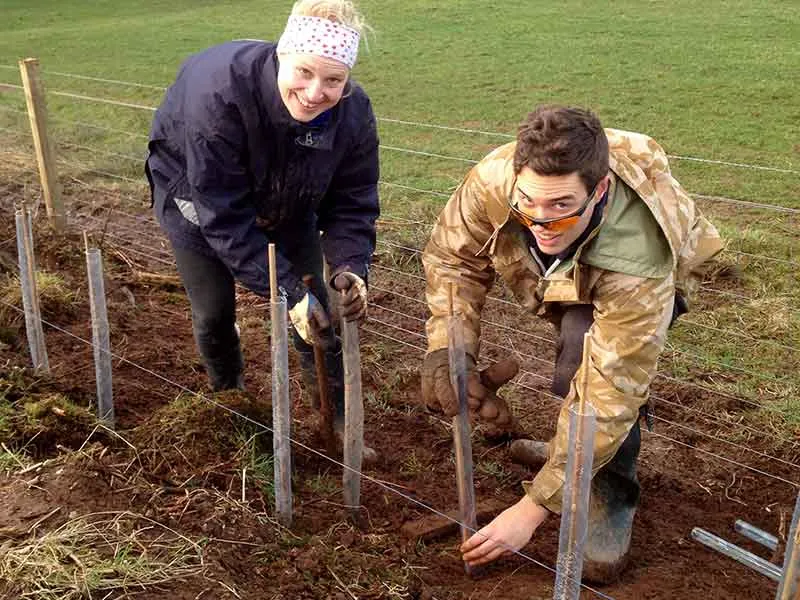 Two volunteers in wellies and work clothes knocking fence posts into a muddy field
